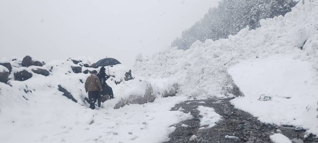 هېواد په بیلا بیلو برخو کې د ټولګټو وزارت د ولایتي پرسونل لخوا د لویو لارو او سړکونو پاکول په چټکۍ سره جریان لري